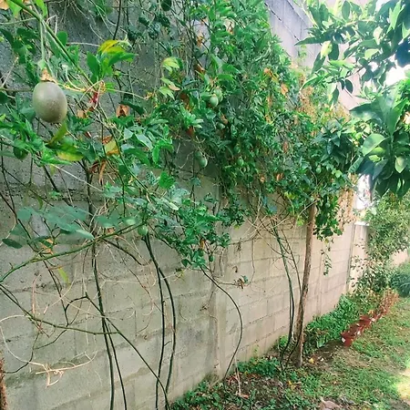 בית נופש Casa Com Jardim Privado E Estacionamento No Interior אמאריס