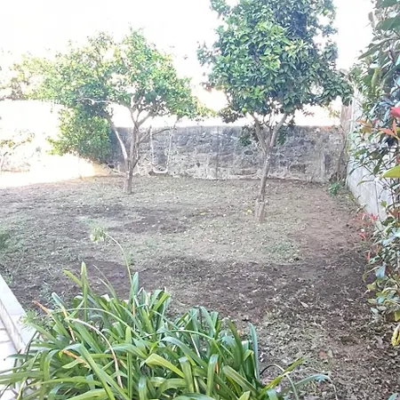 Casa Com Jardim Privado E Estacionamento No Interior * Amares