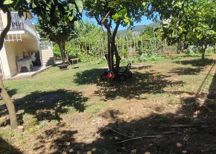 Nyaraló Casa Com Jardim Privado E Estacionamento No Interior Amares