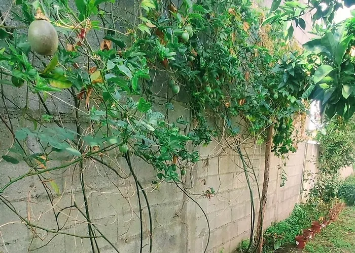 Nyaraló Casa Com Jardim Privado E Estacionamento No Interior Amares